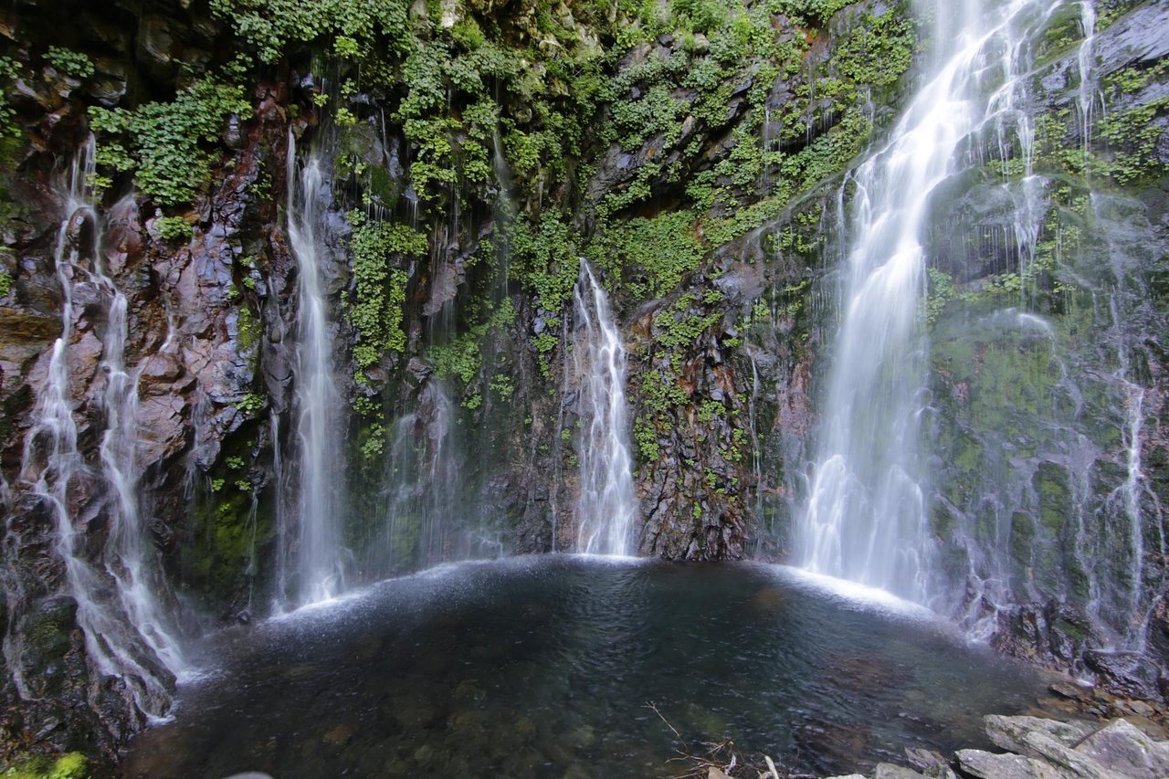 🎨 후쿠시마 카타오카 쓰루타로 미술정원 (후쿠시마 카타오카 츠루타로 비쥬츠테이엔) 이미지 6